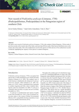 Podilymbus Podiceps (Linnaeus, 1758) (Podicipediformes, Podicipedidae) in the Patagonian Region of Southern Chile