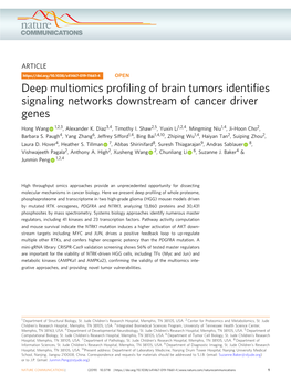 Deep Multiomics Profiling of Brain Tumors Identifies Signaling Networks