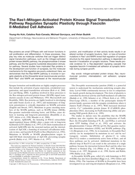 The Ras1–Mitogen-Activated Protein Kinase Signal Transduction Pathway Regulates Synaptic Plasticity Through Fasciclin II-Mediated Cell Adhesion