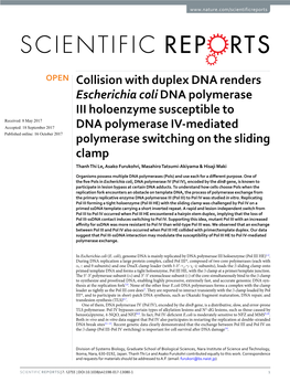 Collision with Duplex DNA Renders Escherichia Coli DNA Polymerase III