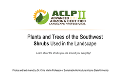 03-Aclp-2-Plant-Id-Shrubs.Pdf