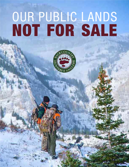 Our Public Lands Not for Sale Your Lands, Your Future