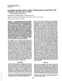 Cerebellar Granule Cells in Culture