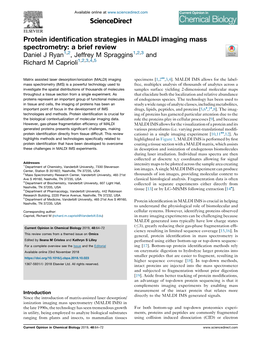 Protein Identification Strategies in MALDI Imaging Mass Spectrometry