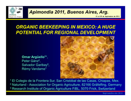 Organic Beekeeping in Mexico: a Huge Potential for Regional Development