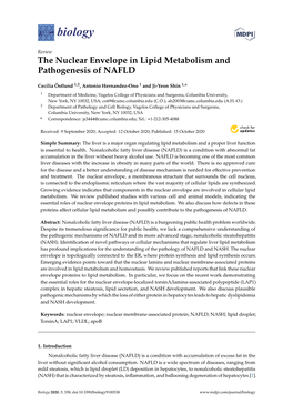 The Nuclear Envelope in Lipid Metabolism and Pathogenesis of NAFLD