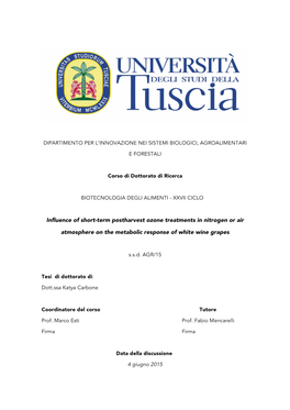 Influence of Short-Term Postharvest Ozone Treatments in Nitrogen Or Air Atmosphere on the Metabolic Response of White Wine Grapes