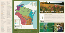 Wisconsin's Wetland Gems