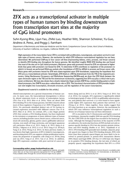 ZFX Acts As a Transcriptional Activator in Multiple Types of Human Tumors by Binding Downstream from Transcription Start Sites at the Majority of Cpg Island Promoters