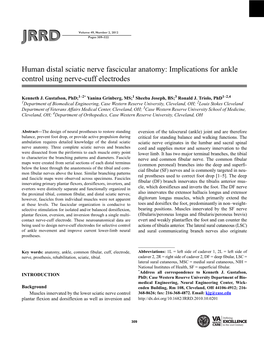 Human Distal Sciatic Nerve Fascicular Anatomy: Implications for Ankle Control Using Nerve-Cuff Electrodes