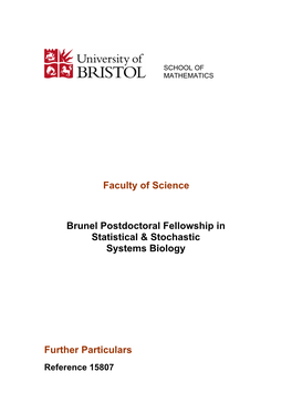 Faculty of Science Brunel Postdoctoral Fellowship in Statistical