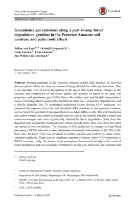 Greenhouse Gas Emissions Along a Peat Swamp Forest Degradation Gradient in the Peruvian Amazon: Soil Moisture and Palm Roots Effects