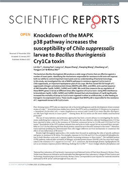 Knockdown of the MAPK P38 Pathway Increases the Susceptibility of Chilo