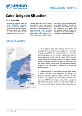 Cabo Delgado Situation