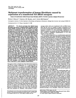 Malignant Transformation of Human Fibroblasts Caused by Expression Of