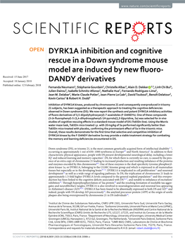 DYRK1A Inhibition and Cognitive Rescue in a Down Syndrome Mouse