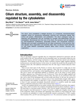 Cilium Structure, Assembly, and Disassembly Regulated by the Cytoskeleton