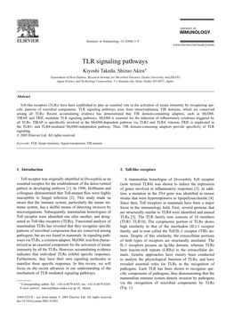 TLR Signaling Pathways