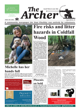 Fire Risks and Litter Hazards in Coldfall Wood
