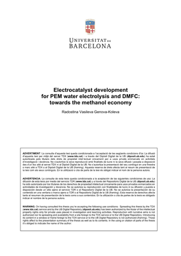 Electrocatalyst Development for PEM Water Electrolysis and DMFC: Towards the Methanol Economy