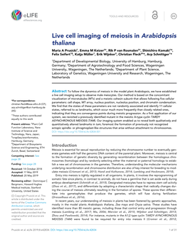 Live Cell Imaging of Meiosis in Arabidopsis Thaliana