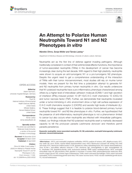 An Attempt to Polarize Human Neutrophils Toward N1 and N2 Phenotypes in Vitro