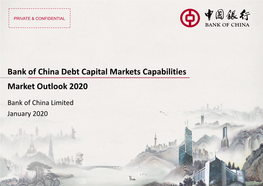 Bank of China Debt Capital Markets Capabilities Market Outlook 2020