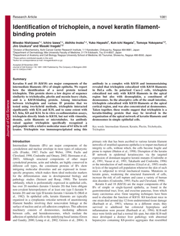 Identification of Trichoplein, a Novel Keratin Filament- Binding Protein