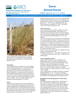 'Zorro' Annual Fescue (Vulpia Myuros) Conservation Plant Release Brochure