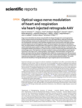 Optical Vagus Nerve Modulation of Heart and Respiration Via Heart‑Injected Retrograde AAV Arjun K