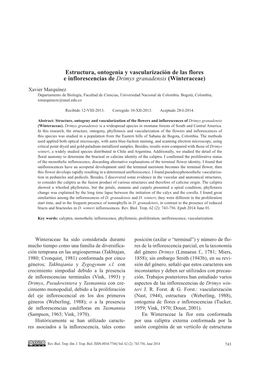 Estructura, Ontogenia Y Vascularización De Las Flores E Inflorescencias De Drimys Granadensis (Winteraceae)