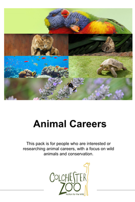 Animal Careers