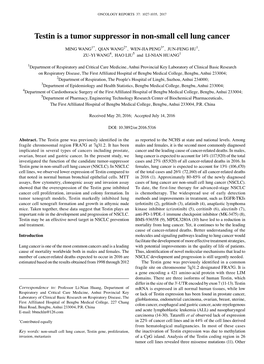 Testin Is a Tumor Suppressor in Non-Small Cell Lung Cancer