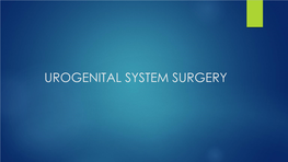Urogenital System Surgery Urogenital System Anatomy