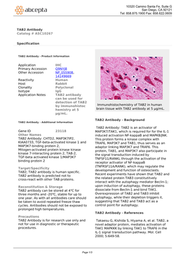TAB2 Antibody Catalog # ASC10267