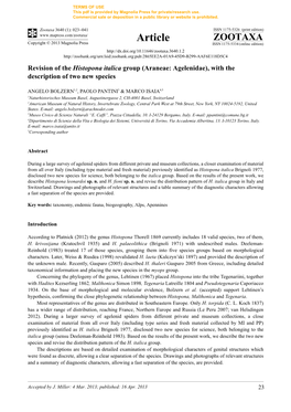 Revision of the Histopona Italica Group (Araneae: Agelenidae), with the Description of Two New Species