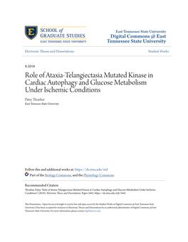 Role of Ataxia-Telangiectasia Mutated Kinase in Cardiac Autophagy and Glucose Metabolism Under Ischemic Conditions Patsy Thrasher East Tennessee State University