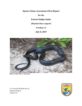 Species Status Assessment (SSA) Report for the Eastern Indigo Snake (Drymarchon Couperi) Version 1.1 July 8, 2019