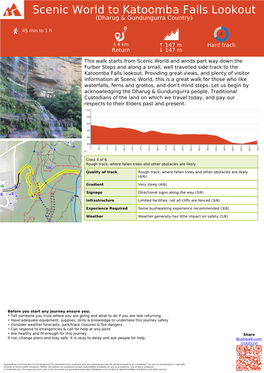 Scenic World to Katoomba Falls Lookout (Dharug & Gundungurra Country)