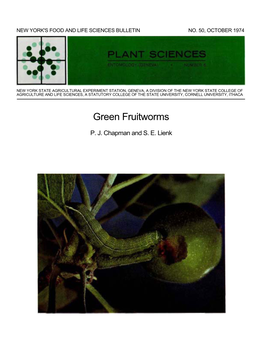 Green Fruitworms