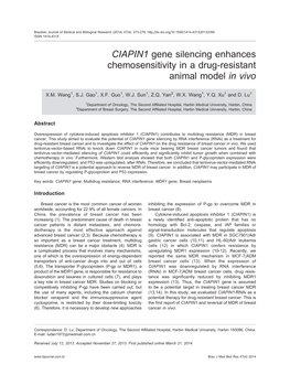 CIAPIN1 Gene Silencing Enhances Chemosensitivity in a Drug-Resistant Animal Model in Vivo