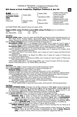 HORSE in TRAINING, Consigned by Kingsley Park the Property of Godolphin Will Stand at Park Paddocks, Highflyer Paddock E, Box 55