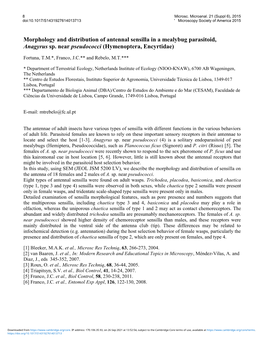 Morphology and Distribution of Antennal Sensilla in a Mealybug Parasitoid, Anagyrus Sp