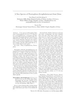 A New Species of Triaenophora (Scrophulariaceae) from China