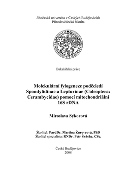 Molekulární Fylogeneze Podčeledí Spondylidinae a Lepturinae (Coleoptera: Cerambycidae) Pomocí Mitochondriální 16S Rdna