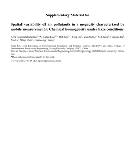 Spatial Variability of Air Pollutants in a Megacity Characterized by Mobile Measurements: Chemical Homogeneity Under Haze Conditions