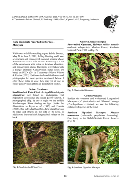 107 Rare Mammals Recorded in Borneo – Malaysia