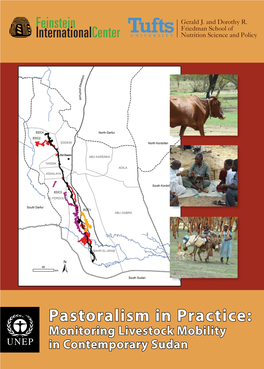 Chapter 4. Pastoralism in North Kordofan