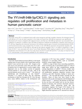 The YY1/Mir-548T-5P/CXCL11 Signaling Axis Regulates Cell