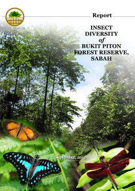 INSECT DIVERSITY of BUKIT PITON FOREST RESERVE, SABAH